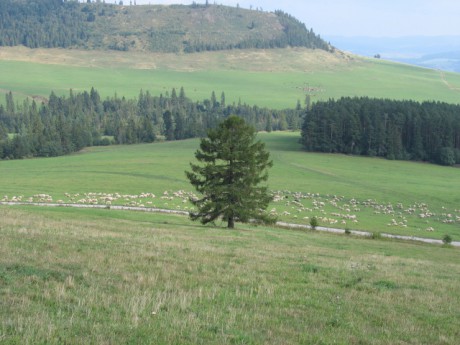 2007-08 Slovensko - Vojňany - Spišská Magura 02.jpg